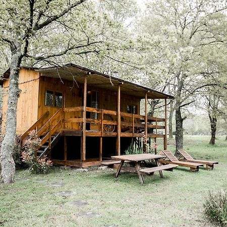 Le Ranch Amadeus Bed & Breakfast Saint-Paul-en-Born Bagian luar foto