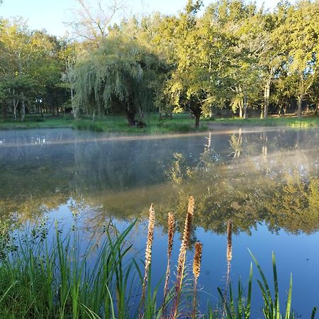 Le Ranch Amadeus Bed & Breakfast Saint-Paul-en-Born Bagian luar foto