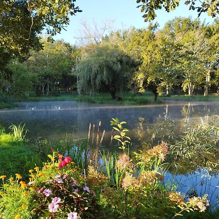 Le Ranch Amadeus Bed & Breakfast Saint-Paul-en-Born Bagian luar foto