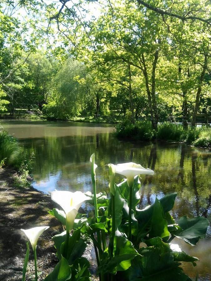 Le Ranch Amadeus Bed & Breakfast Saint-Paul-en-Born Bagian luar foto