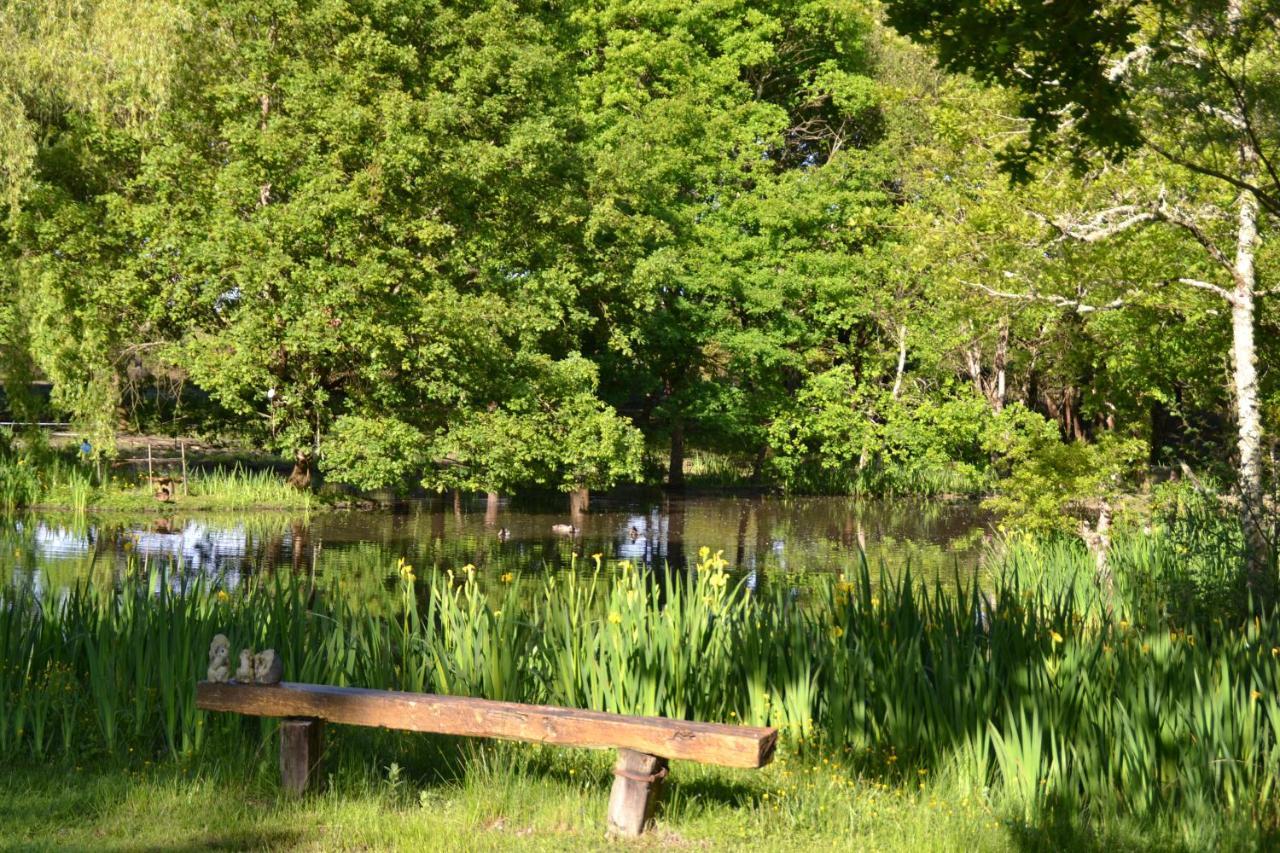 Le Ranch Amadeus Bed & Breakfast Saint-Paul-en-Born Bagian luar foto