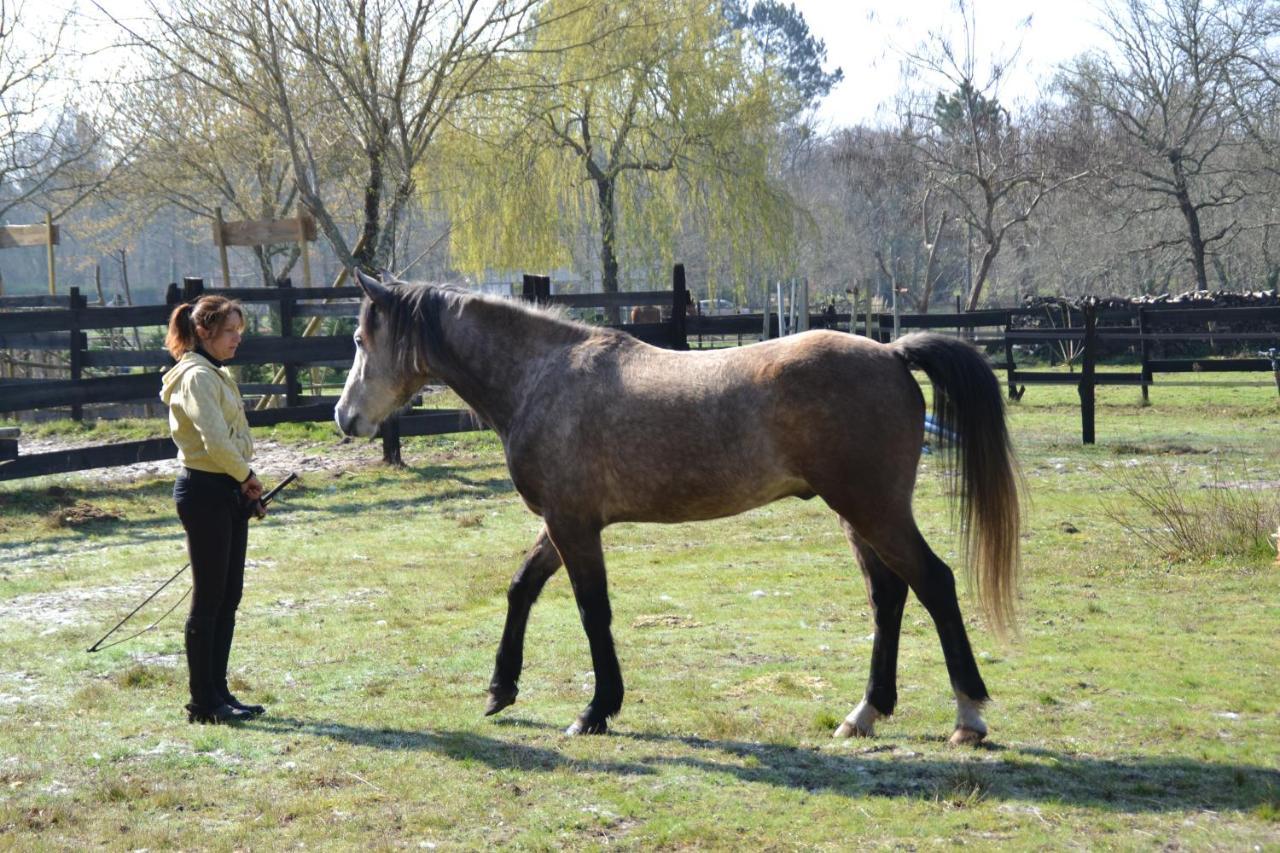 Le Ranch Amadeus Bed & Breakfast Saint-Paul-en-Born Bagian luar foto