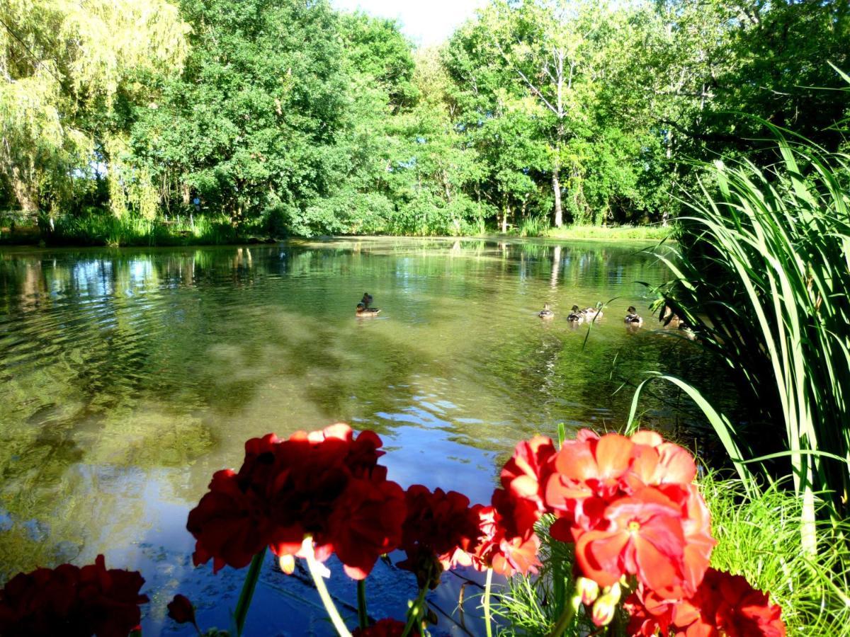 Le Ranch Amadeus Bed & Breakfast Saint-Paul-en-Born Bagian luar foto
