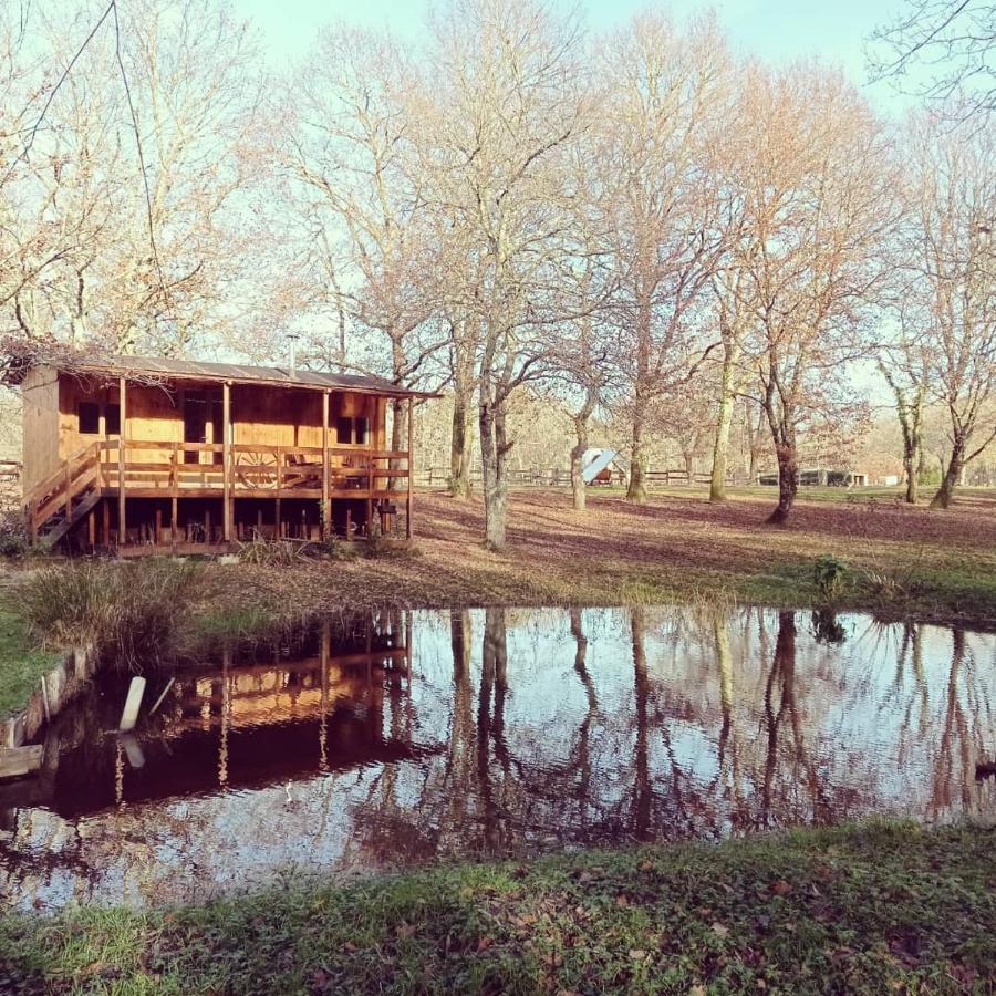 Le Ranch Amadeus Bed & Breakfast Saint-Paul-en-Born Bagian luar foto