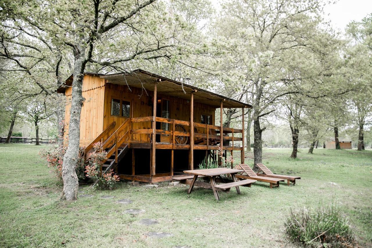 Le Ranch Amadeus Bed & Breakfast Saint-Paul-en-Born Bagian luar foto