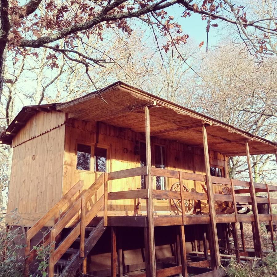 Le Ranch Amadeus Bed & Breakfast Saint-Paul-en-Born Bagian luar foto