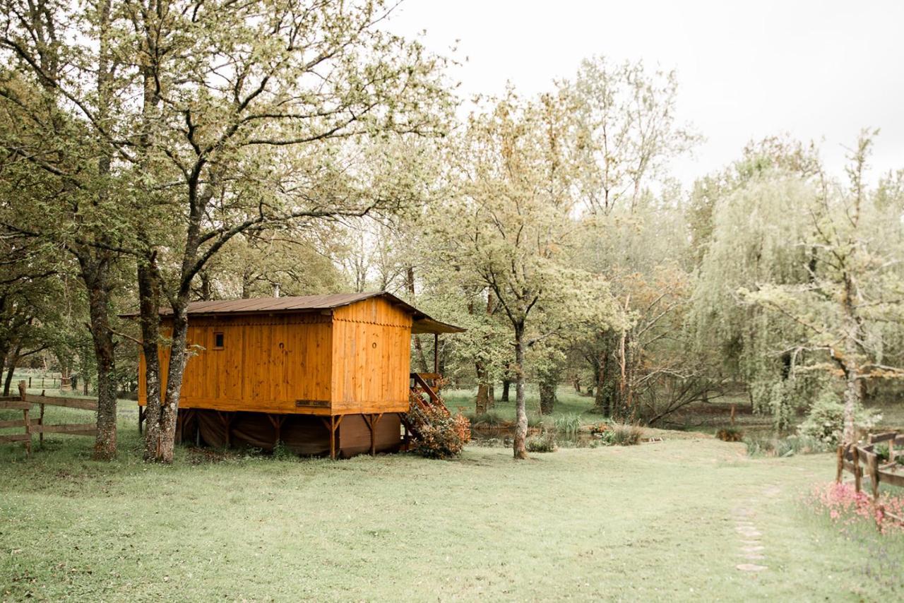 Le Ranch Amadeus Bed & Breakfast Saint-Paul-en-Born Bagian luar foto