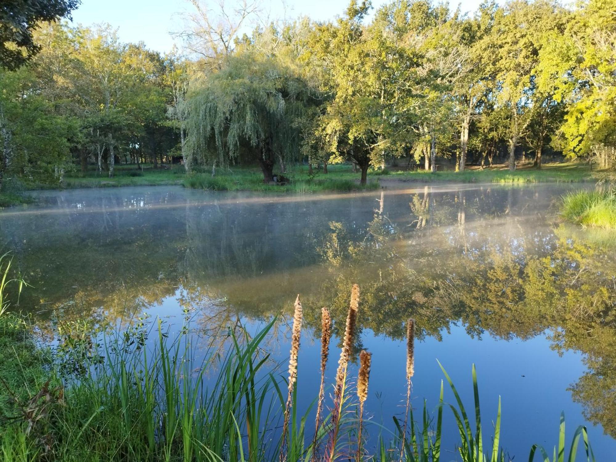 Le Ranch Amadeus Bed & Breakfast Saint-Paul-en-Born Bagian luar foto