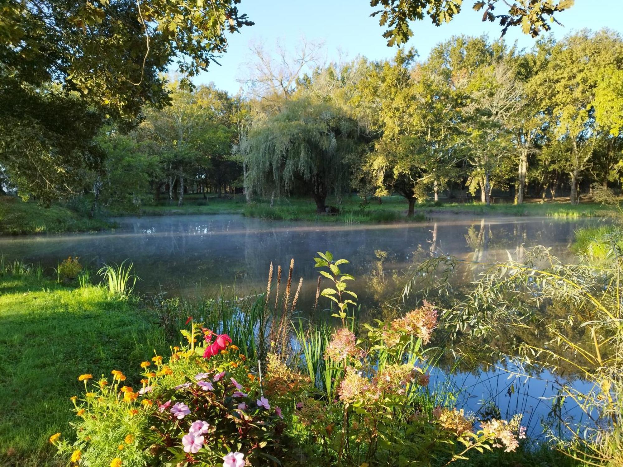 Le Ranch Amadeus Bed & Breakfast Saint-Paul-en-Born Bagian luar foto