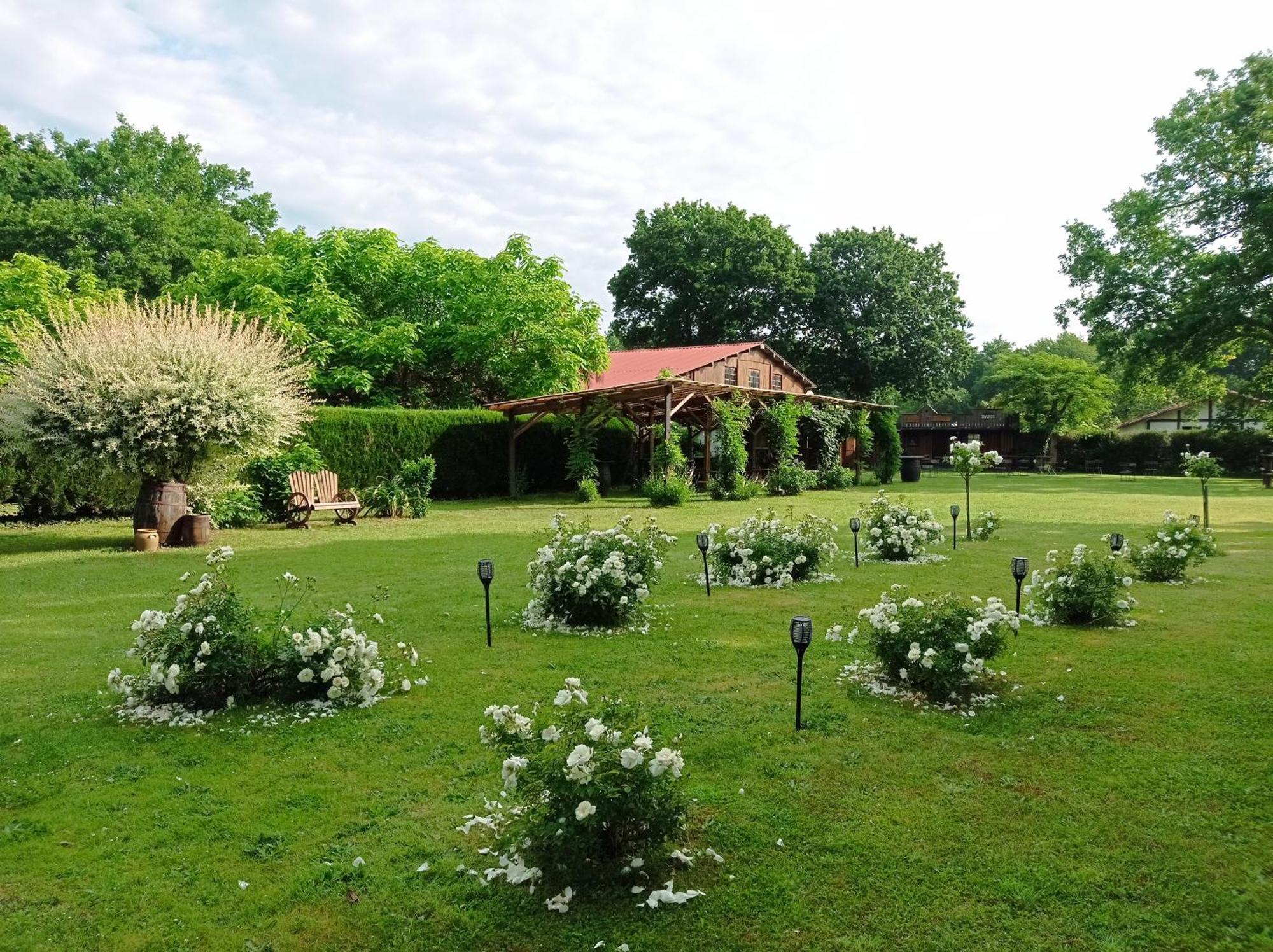 Le Ranch Amadeus Bed & Breakfast Saint-Paul-en-Born Bagian luar foto